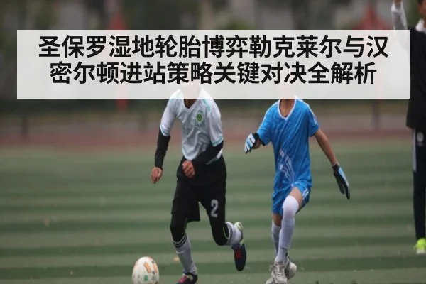 圣保罗湿地轮胎博弈勒克莱尔与汉密尔顿进站策略关键对决全解析